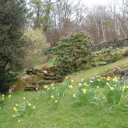 Breasty Haw * Grizedale