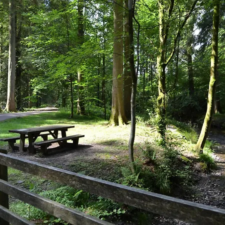 Σπίτι διακοπών Breasty Haw Grizedale